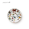 Colorful Ceramic Dinner Plates